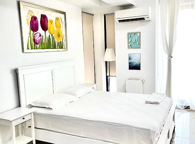 Crazy Summerland Mamaia