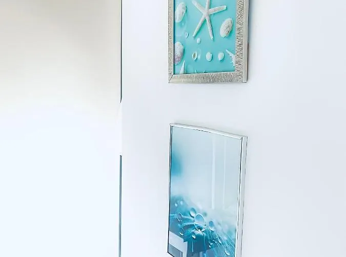 Crazy Summerland Daire *