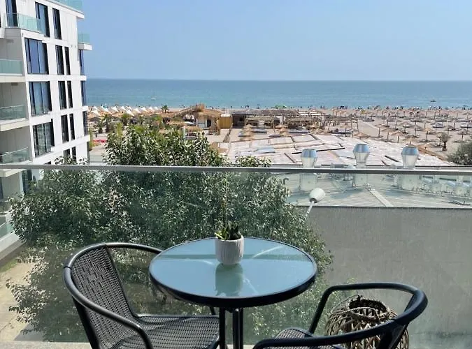 Crazy Summerland Daire Mamaia