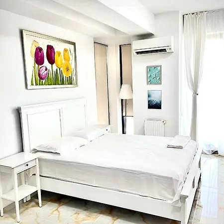 Crazy Summerland Mamaja